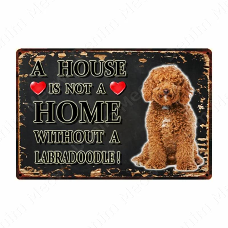 A House Is Not A Home Without A Dog Plaque, Vintage Metal Tin Signs, Bar, Cafe, Home Decor, Springer Spaniel, Wall Art Poster
