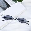 Chic Small Oval Sunglasses For Women Men Hippie Cool Metal Sun Glasses