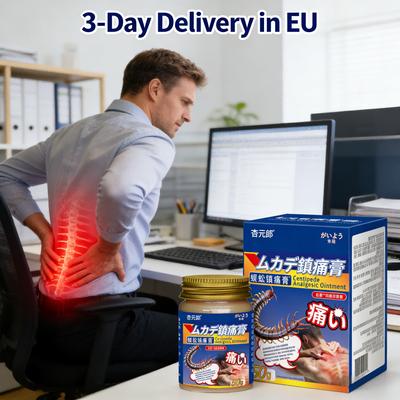 Herbal Waist Balm Patches Gently Penetrate To Relieve Rheumatism and Cold Pain