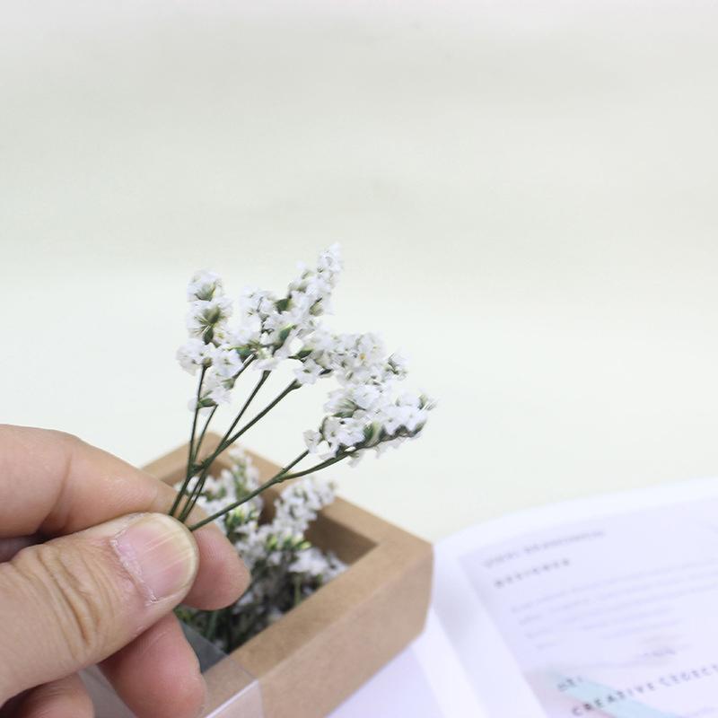 

1/12 Кукольный домик Сухоцветы Подарочная коробка Модель Кукольный домик Мини Букет из сухоцветов Декорация Игрушки Аксессуары для кукольного домика A7