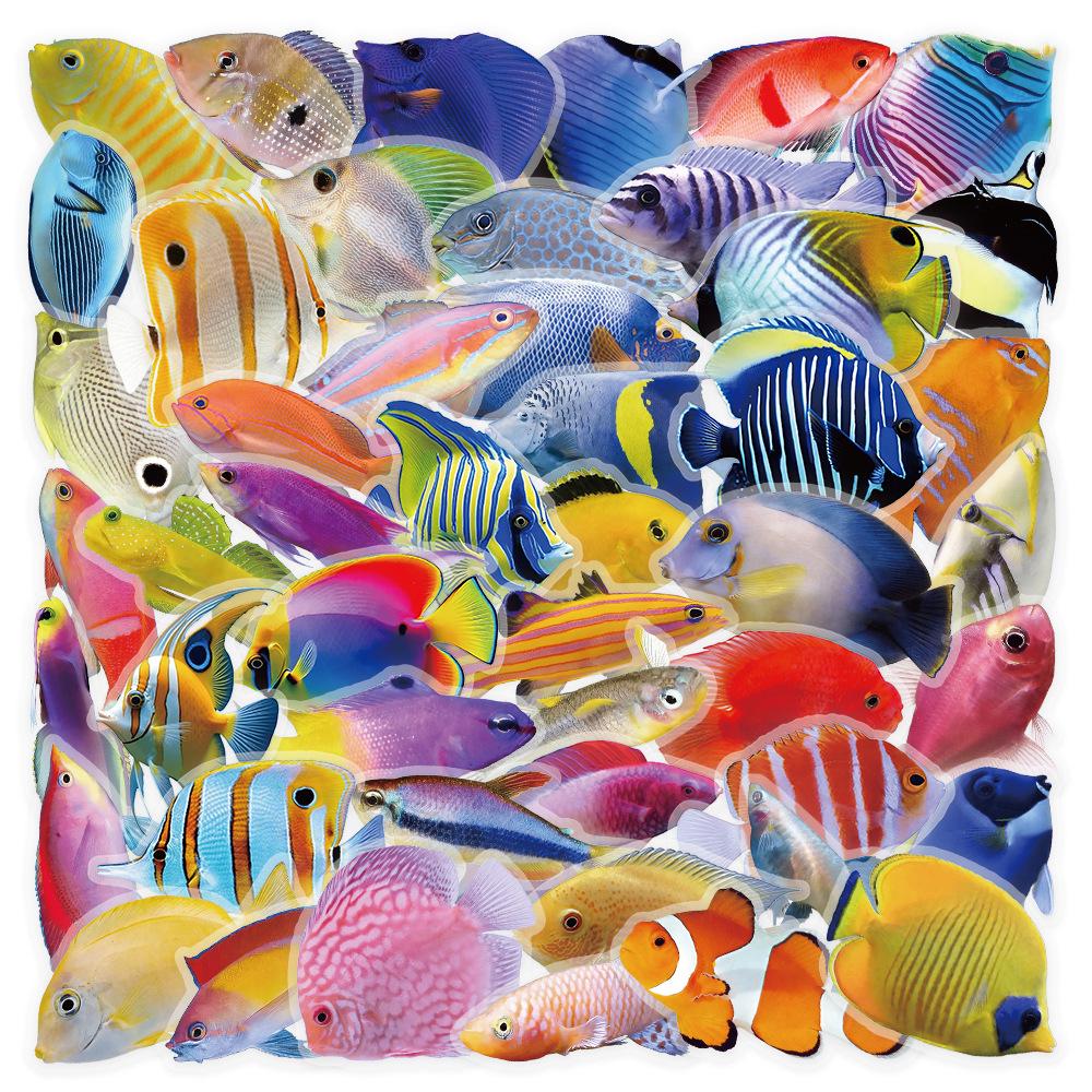 50 Sheets Waterproof Transparent PET Watercolor Stickers for DIY Graffiti and Decoration