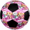 PAW Patrol Theme Size 5 Soccer Ball, Suitable for Both Indoor and Outdoor Matches, a Gift Suitable for Everyone.