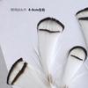 Pheasant Hair Copper Chicken White Head Slices 4-8Cm Small Feather Crafts Decorative Paintings Accessories Decorative Materials