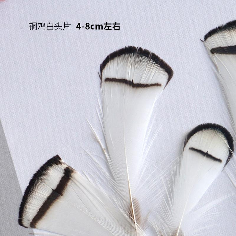 Pheasant Hair Copper Chicken White Head Slices 4-8Cm Small Feather Crafts Decorative Paintings Accessories Decorative Materials