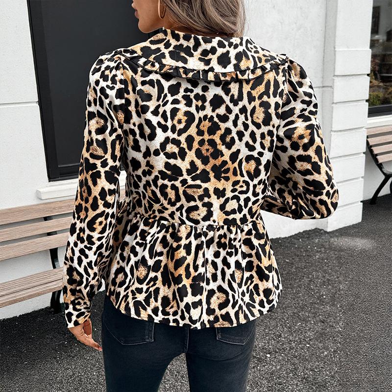 Women's Fashion Casual Spring Fall Leopard Print Long Sleeve V-Neck Blouses  Shirts