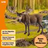 Schleich Wildlife Elk Figure 14781 (Male)