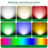 3W RGB Color Changing Outdoor Tree Spotlight