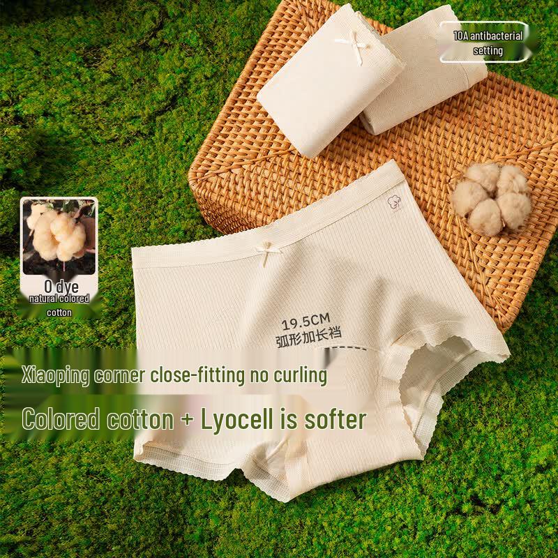 Women s High-Waist Antibacterial Cotton Blend Briefs (3-Pack) 165