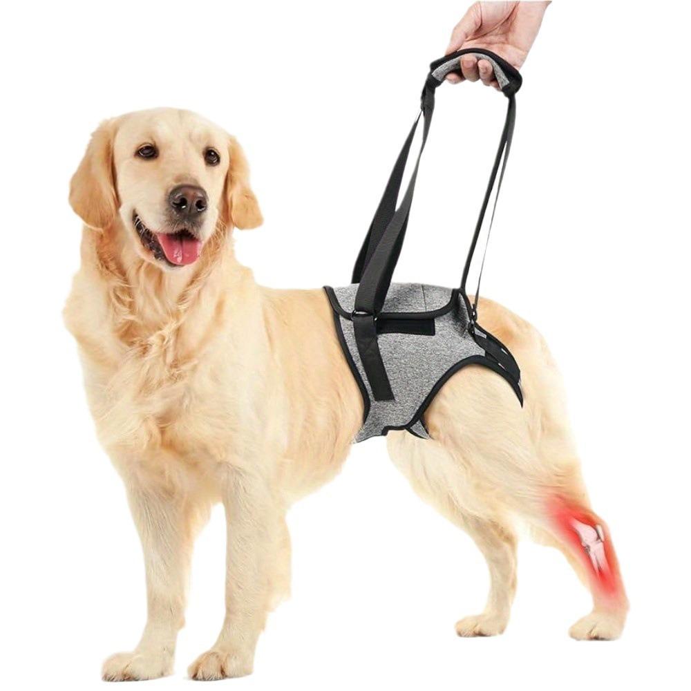 Dog Hip Support Brace for Hip Dysplasia, Adjustable Dog Hip Brace with Lift Strap | Pain Relief for Dog Arthritis and Joint Hurt