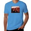 Ty Segall Manipulator T-Shirt blacks for a boy workout shirts
