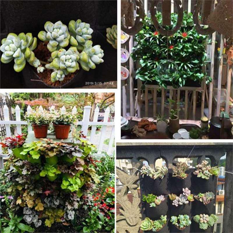 Wall-Mounted Vertical Garden: Non-Woven Felt Plant Bag for Home Gardening and Balcony Décor.