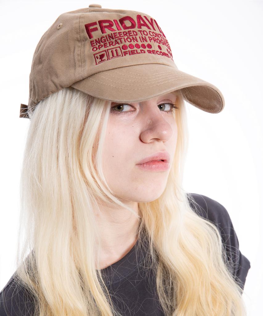 Peulaideihasdogeu System Ball Cap Beige