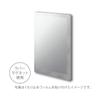 Asvel Lux MG Resin Mirror M Magnet Anti-Fog