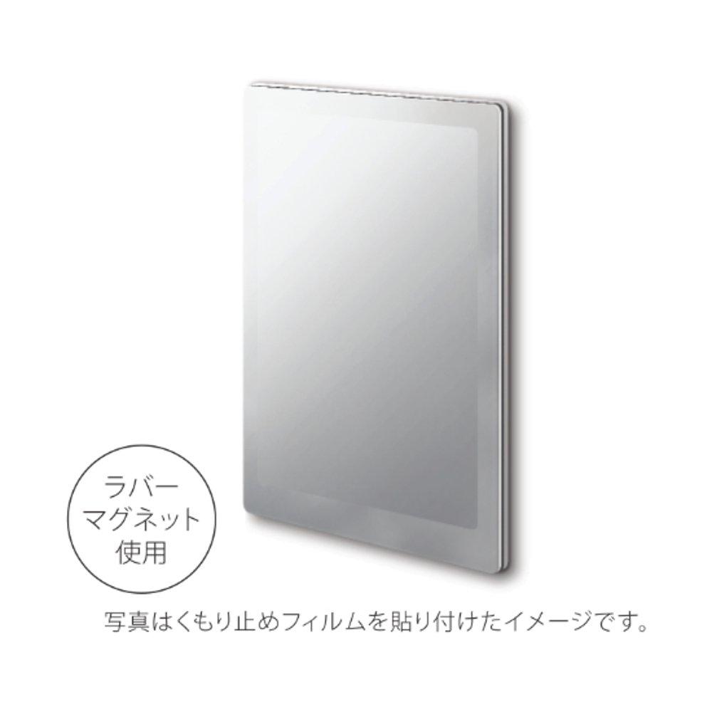 Asvel Lux MG Resin Mirror M Magnet Anti-Fog