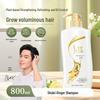 SLEK Ginger & Lemongrass Oil Control Volumizing Shampoo