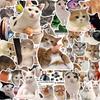 10/30/50pcs Kawaii Cat Cartoon Stickers Aesthetic Funny Animal MEME Decals Toys Waterproof DIY Phone Case Luggage Bike