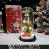 Christmas Tree Snow Globe with Reindeer and Santa Figurine, Tabletop Decoration with Battery Operated LED Lights, Gift [Parallel Import]