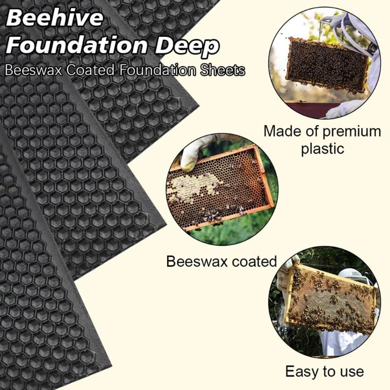 Packung mit 10 leichten, recycelbaren Kunststoff-Bienenstock-Substrukturböden, einfach zu handhaben für den mobilen Bienenstockbetrieb