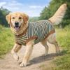 Dog Jumpsuit Striped Dog Sterilization Suit Washable Comfortable Fleece Anti-Licking Vest Warm Post-Operative Suit Female Spay
