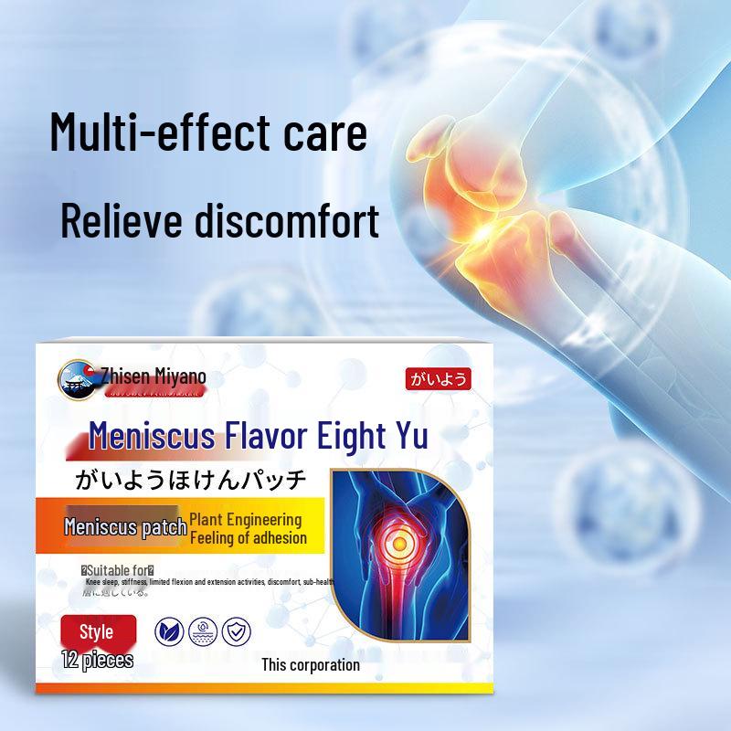 Zhisenmei Japan Meniscus Knee Pain Relief Patch