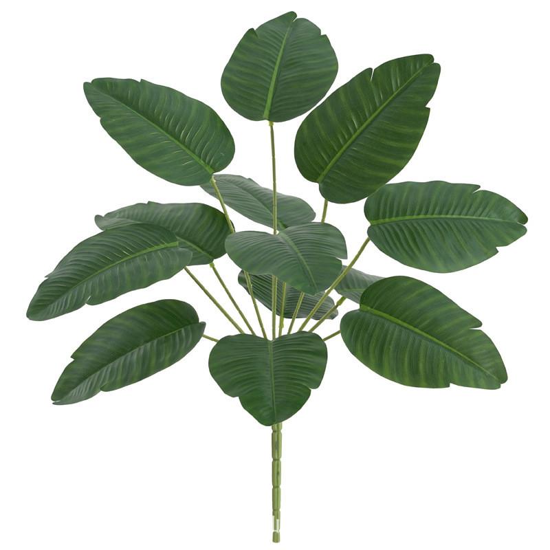 

Goeppertia Makoyana Faux Green Plant For Photography Studio And Home Interior Traveler Banana