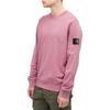 Stone Island Solid Color Crew Neck Logo Long Sleeve Pullover Sweatshirt Unisex sweatshirt Pink 811563051-V0086