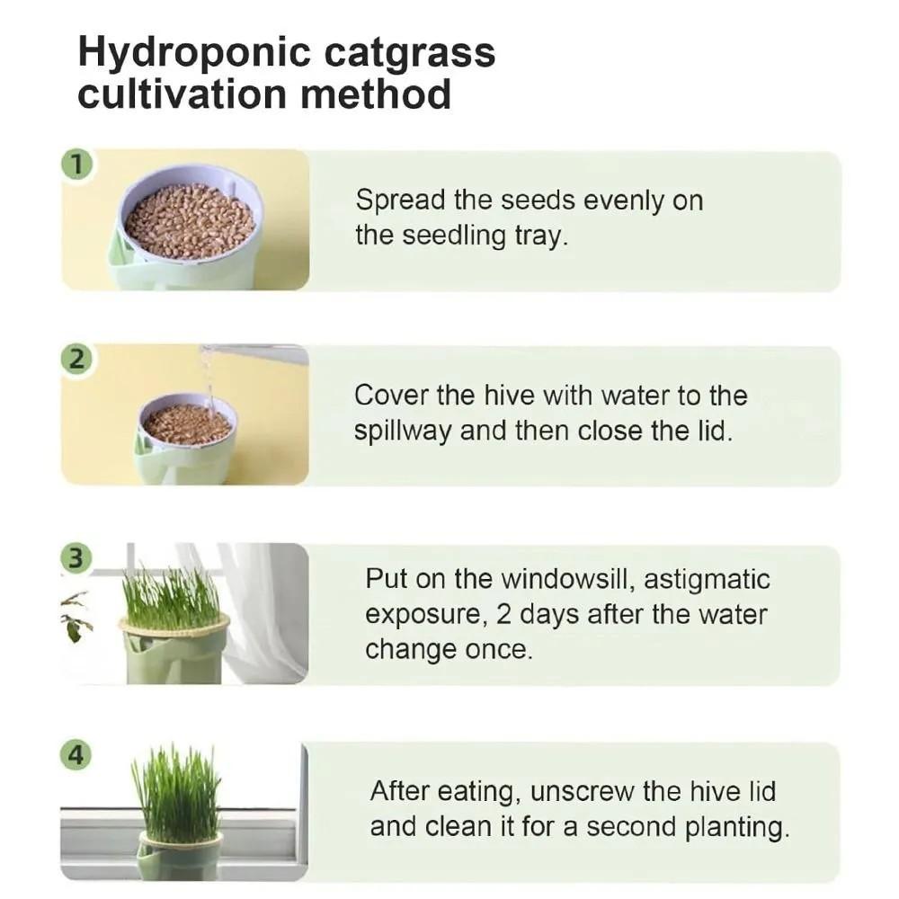 Katzengrasbecher Katzengras Hydroponisch Ohne Erde Wiederverwendbar