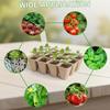 Seedling Tray 24 Pieces Square Organic Growing Starter Kit Seedling Starting Trays For Windowsill Indoor House Vegetable Flower