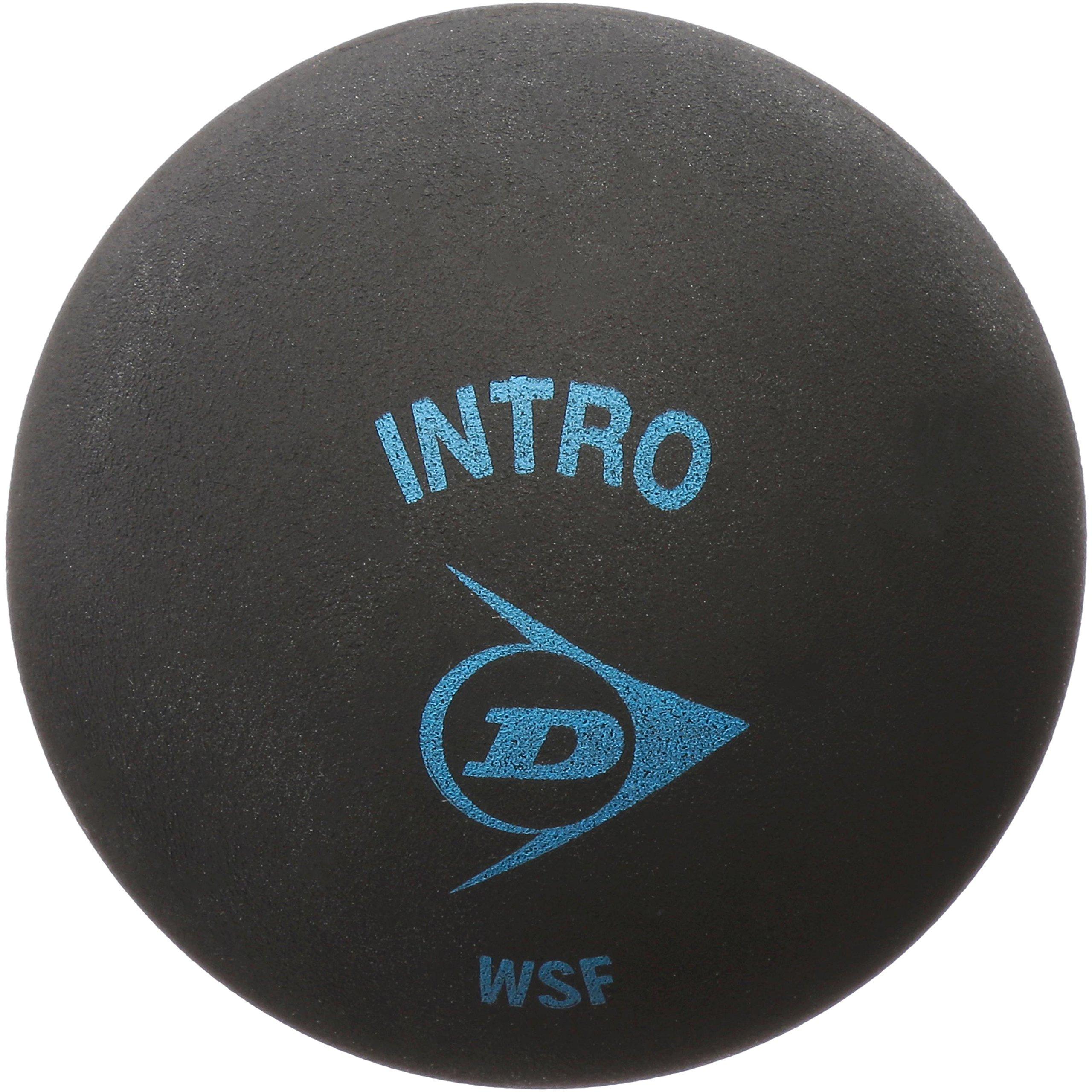 

DUNLOP Intro 1 piece DA50032 (Squash Ball)