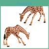 Modèles d'animaux girafe simulés Ornements de bureau Pour jouets éducatifs et décoration intérieure