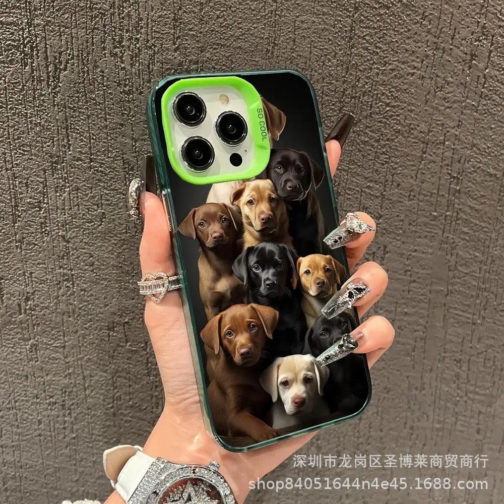Full screen dog suitable for Apple 15 color silver iPhone14Pro creative 11promax matte 16 protective case 17
