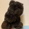 [USED] Realistic Fur Bear Puppet Plush Toy Puppet Show Storytelling Teddy Bear Bear Lucky Bear