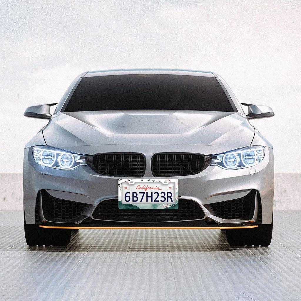 Mounta Cherry Blossom License Plate Frames - 2 Pcs Set 2 Holes Stainless Steel Metal Auto Car Accessories Decoration License Plate Frame Cover Size