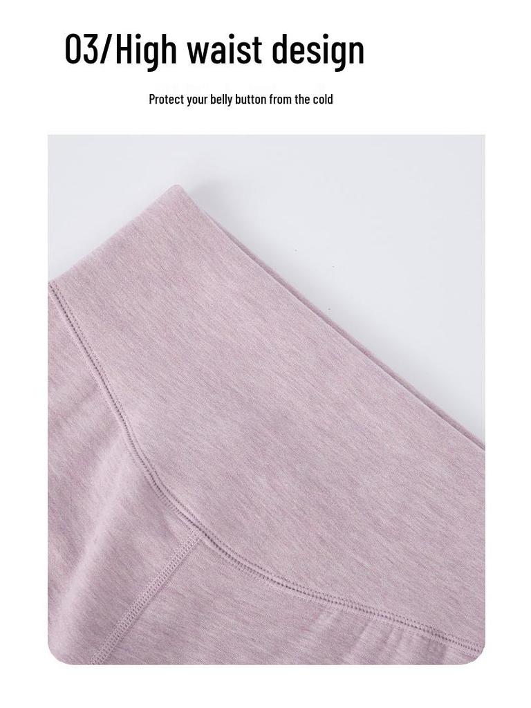 Women's High-Waist Silk Cashmere Fleece-Lined Pants - Seamless, Warm, and Thick for Autumn/Winter Cold Protection