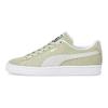 Puma Suede Classic Xxi Retro Casual Low-Top Sneakers Unisex Sneakers Green 374915-46