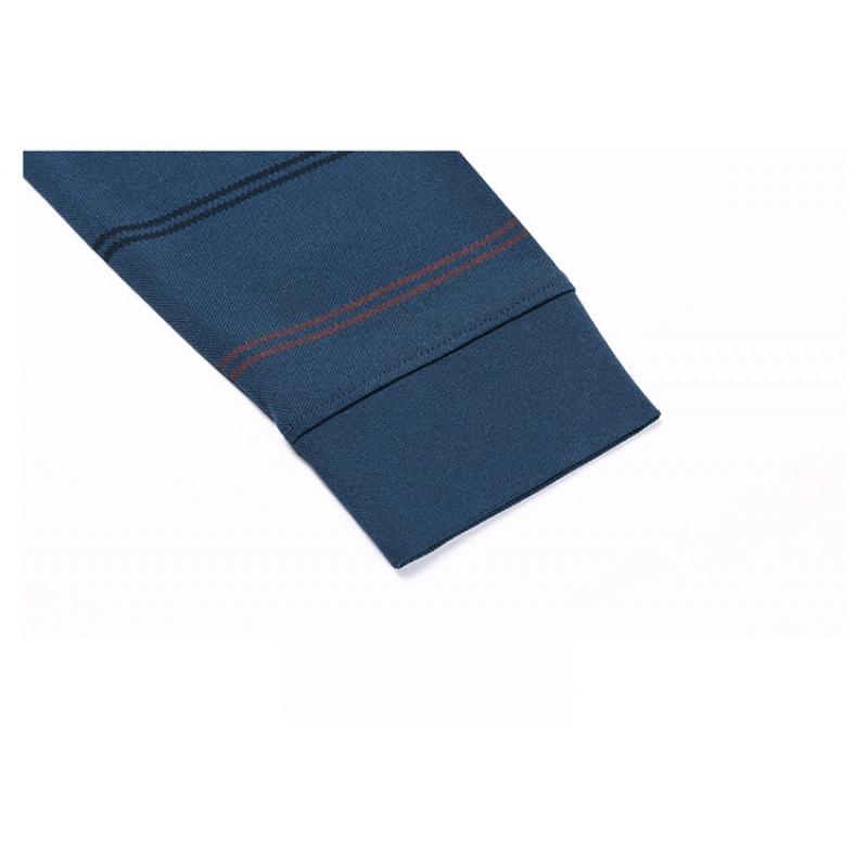 Spring And Autumn High-End Business Casual Polo Shirt For Middle-Aged Men Turn-Down Collar Long Sleeve Striped Versatile T-Shirt For Men