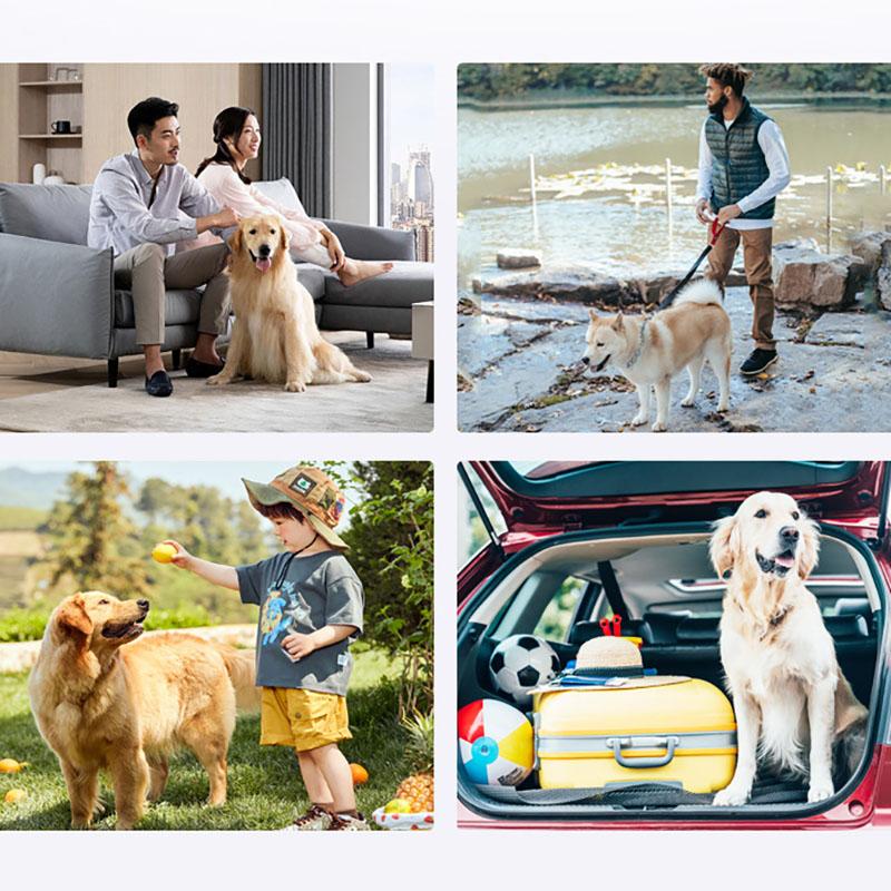 Quietschendes Tauziehen Bungee Hundespielzeug. Interaktives Puzzlespielzeug für Hunde, Bissfestes buntes Seil, Welpentraining. Hunde Agility Training. Schonend zu den Zähnen