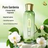 Profumeria – Profumi