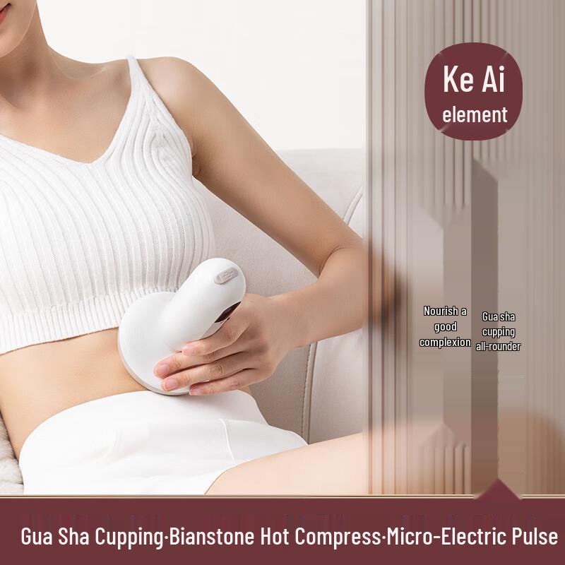 Electric Bianstone Gua Sha Massager