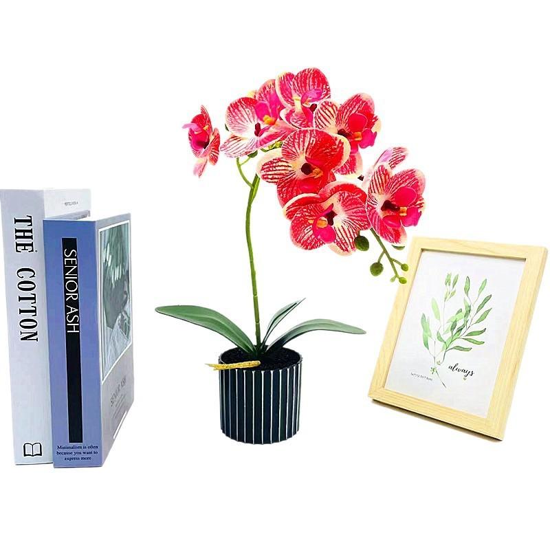 Simulated Potted Phalaenopsis Artificial Flower Desktop Ornament Decoration