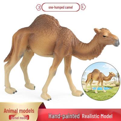 Collezionismo e modellismo – Modellini e action figure