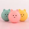 Cute Cat Portable Mini Pocket Fan Rechargeable LED Fill Light with Makeup Mirror