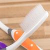 Soft Bristle Family Toothbrush 10-Pack