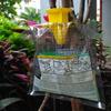 1Pcs Disposable Fly Catchers Non Toxic Fly Traps Outdoor Hanging Fly Catchers