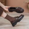 Women's Autumn Women's Shoes Small Gold Coins Single Shoes Thick Heel New British Camellia Pedal Small Leather Shoes