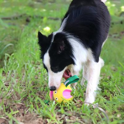 Ballspielzeug für Hunde Interaktives Spiel Welpenball für Welpen Kleine Mittlere Große Rassen Langeweile Selbstunterhaltung Outdoor Park