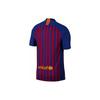 Nike Soccer Jerseys Men's Blue Moderate 894417-456