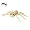 Halloween Spooky Animal Model Skeleton Realistic Fish Bird Spider Snake Cat Skeleton Detailed Decor for Party Haunted House Graveyard Scene