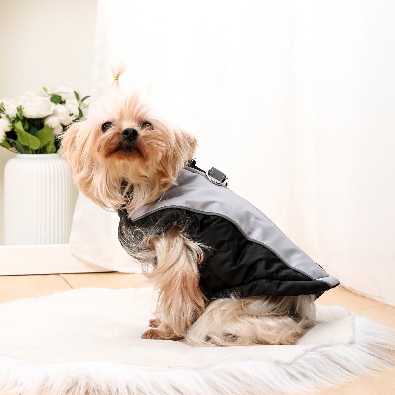 Dog Clothes Outdoor Windproof Waterproof Pet Coat With Zipper D-ring Puppy Jacket For Small Medium Dogs Beagle Corgi Costume