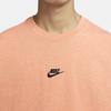 Nike T Shirts Men's Umber Crew Neck Moderate Straight Fit DN5241-824